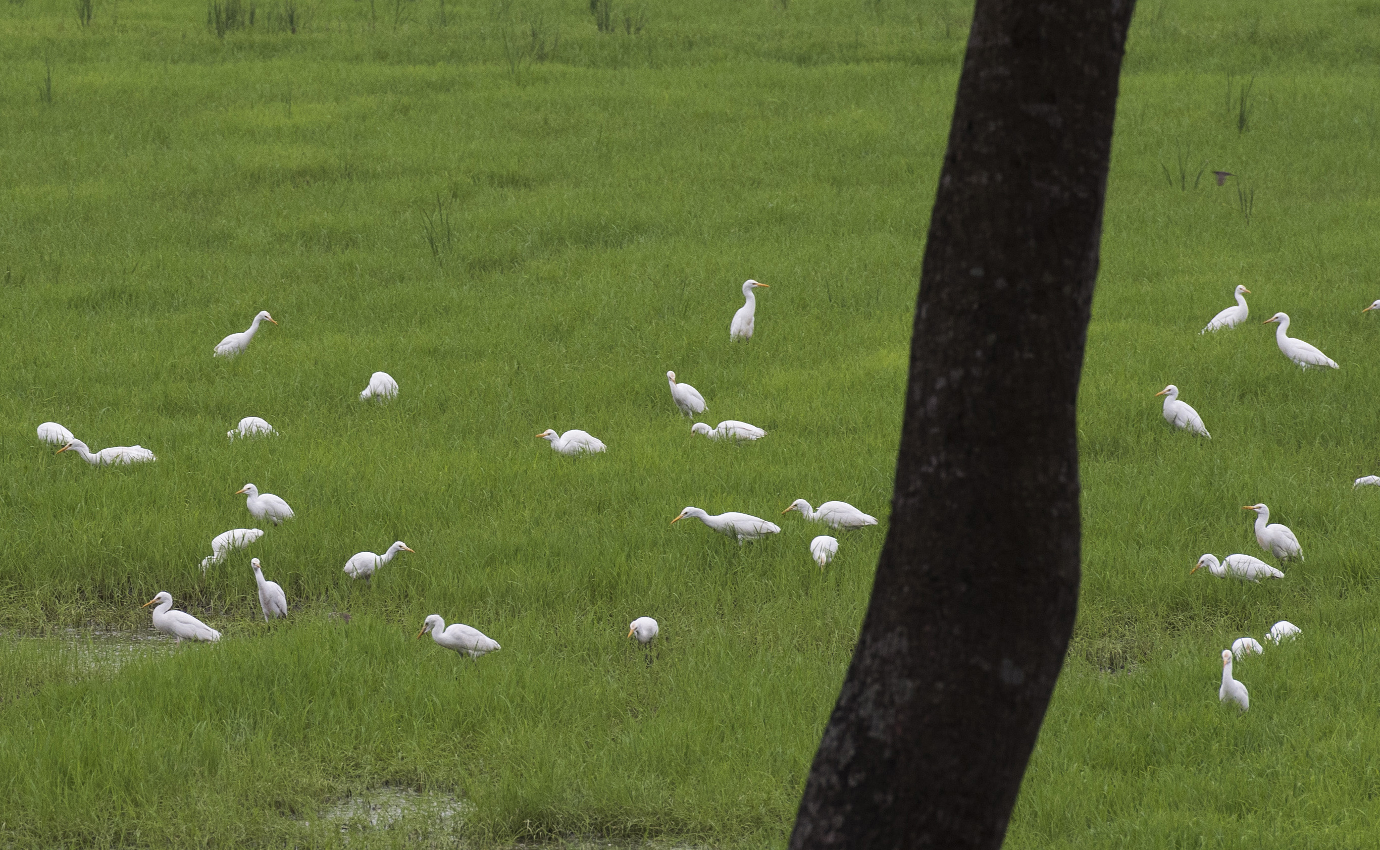 backwater_exp-15