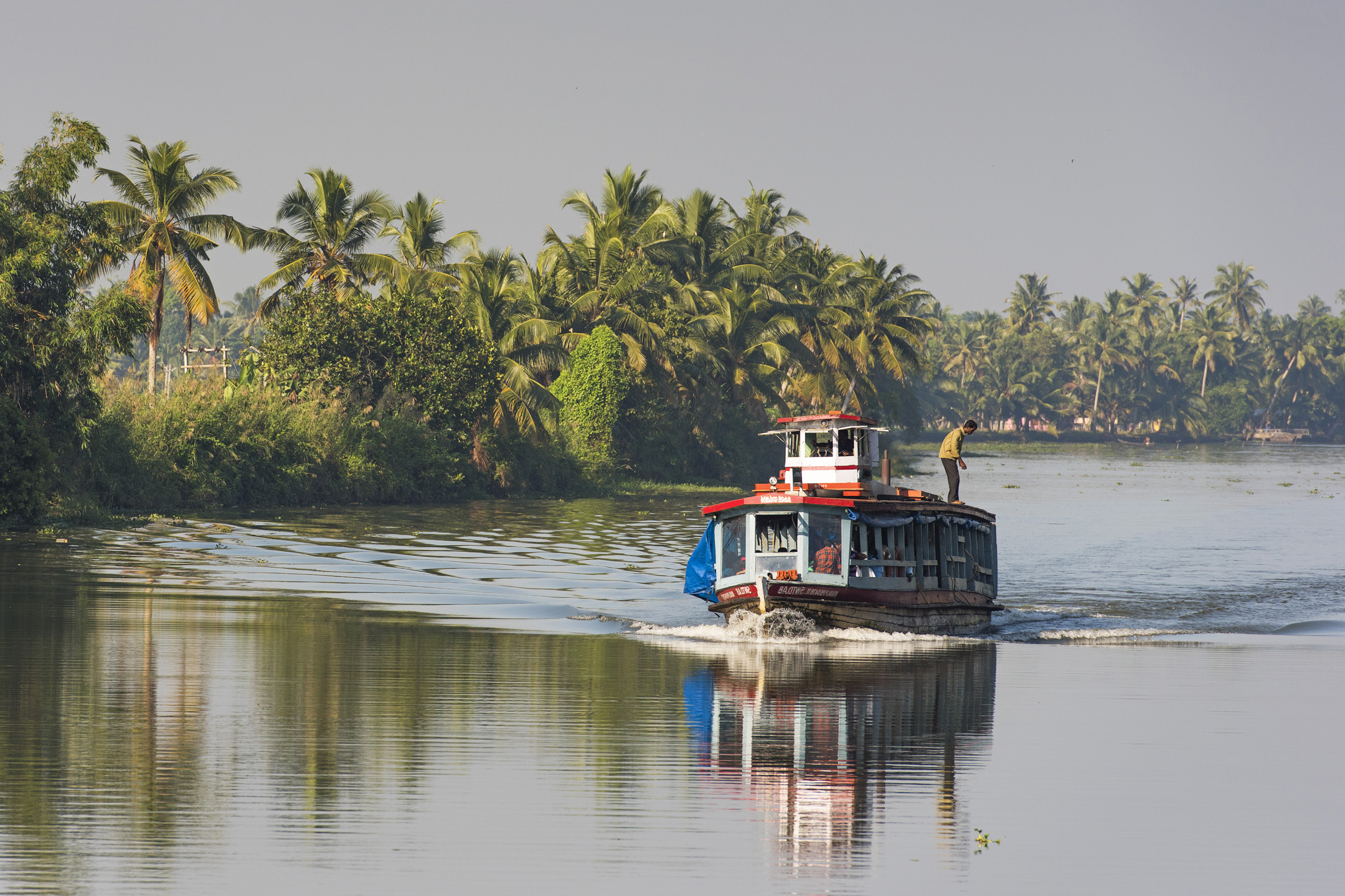 cruise-3